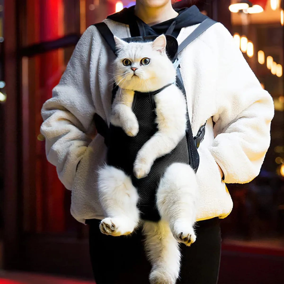 Pet Carrier Front Chest Bag